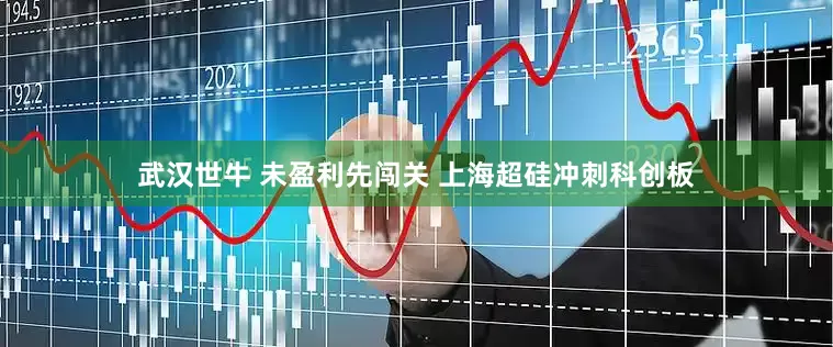 武汉世牛 未盈利先闯关 上海超硅冲刺科创板