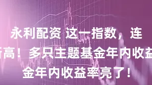 永利配资 这一指数，连刷十年新高！多只主题基金年内收益率亮了！