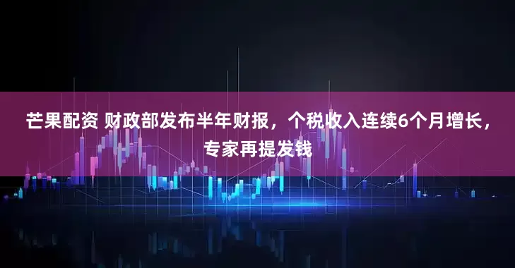 芒果配资 财政部发布半年财报，个税收入连续6个月增长，专家再提发钱