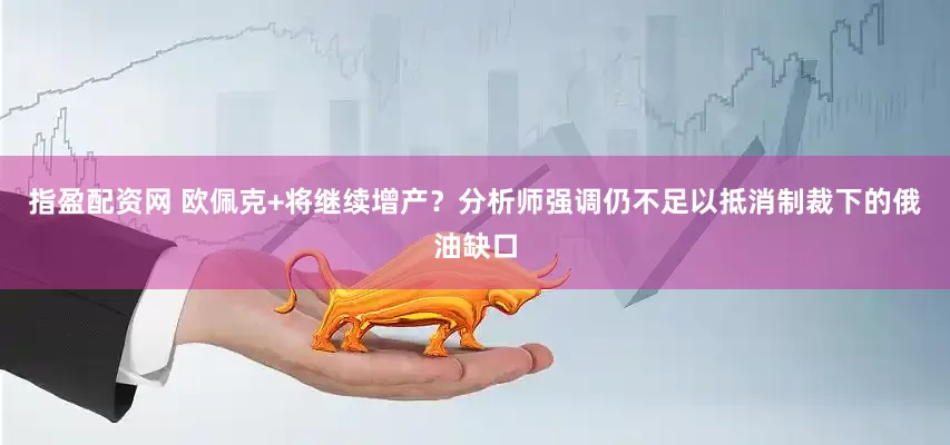 指盈配资网 欧佩克+将继续增产？分析师强调仍不足以抵消制裁下的俄油缺口