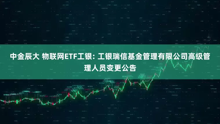 中金辰大 物联网ETF工银: 工银瑞信基金管理有限公司高级管理人员变更公告